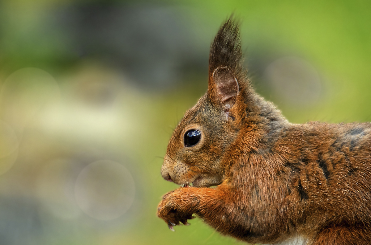 rsfotografien ihr Fotograf in Beckum